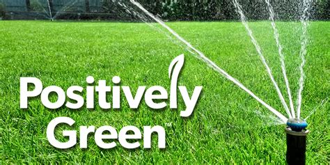 positively green perth.